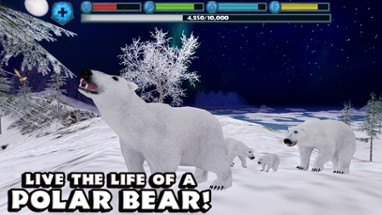 Polar Bear Simulator Image