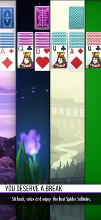 Spider Solitaire ٭ screenshot