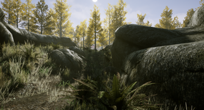 A Ranger's Journey Image