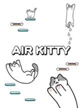 Air Kitty Image