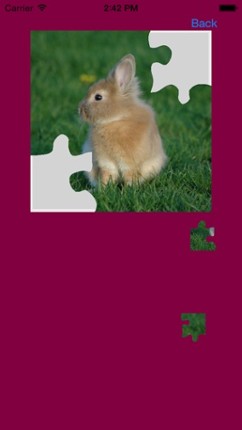 Baby Rabbits Jigsaw Puzzles screenshot