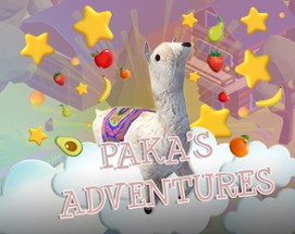 Paka's Adventure Image