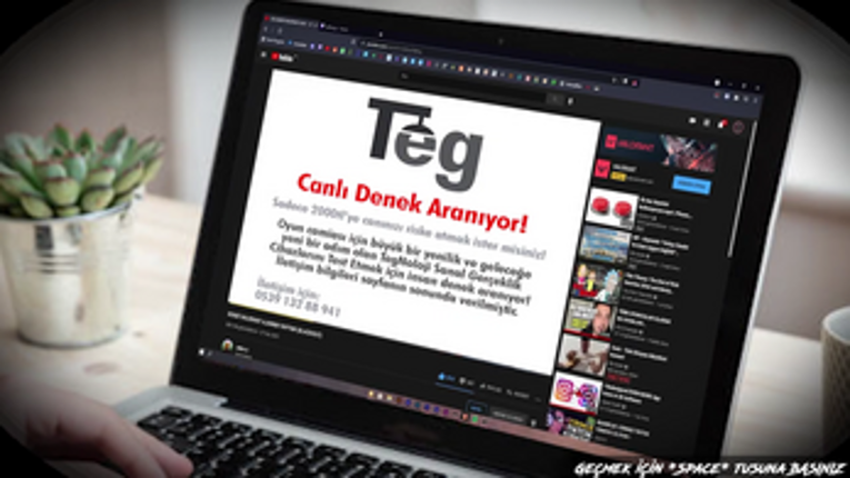 T.E.G. screenshot