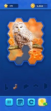 Hexa Jigsaw Challenge screenshot