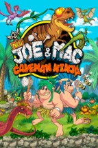 New Joe & Mac: Caveman Ninja Image