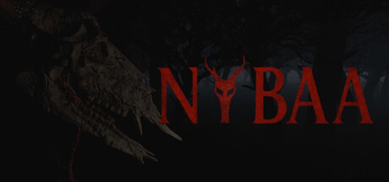 NIBAA Image