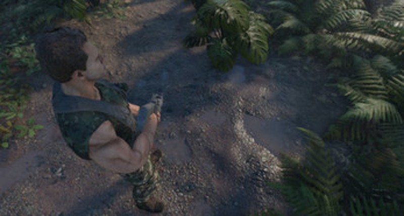 PREDATOR Image