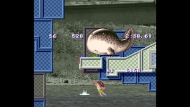 Umihara Kawase Image