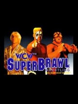 WCW SuperBrawl Wrestling Image