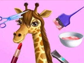 Animal Fashion Hair Salon - Trendy Style Image