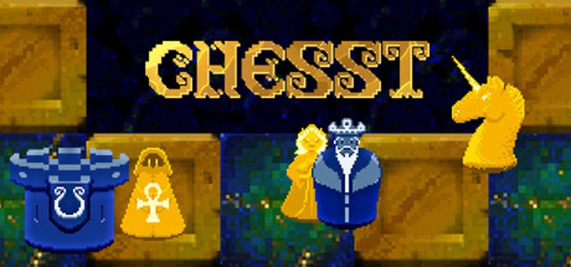 CHESST Image