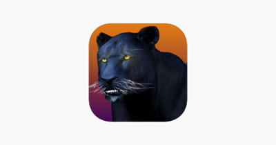 Deadly Black Panther - WIld Animal Simulator 3D Image