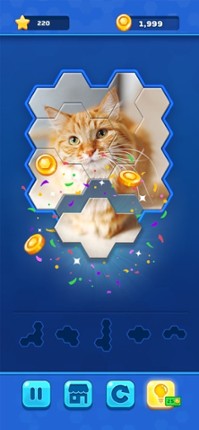 Hexa Jigsaw Challenge screenshot