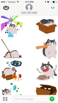 Kitty in the Box 2 Image