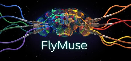Games like FlyMuse