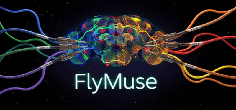 FlyMuse Image