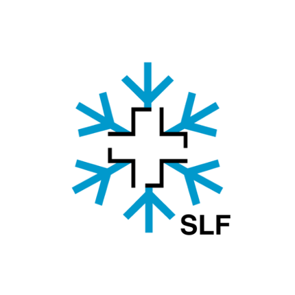 White Risk - SLF Avalanche App Image