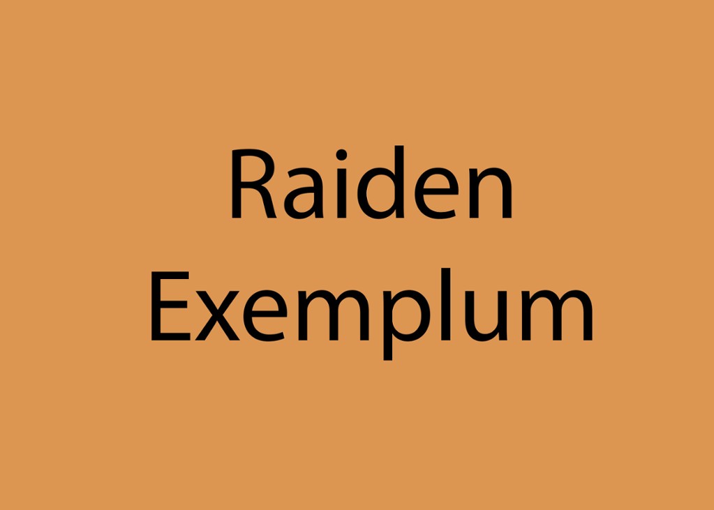 Games like Raiden Exemplum