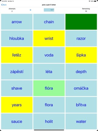 PickAPair Czech - English Image