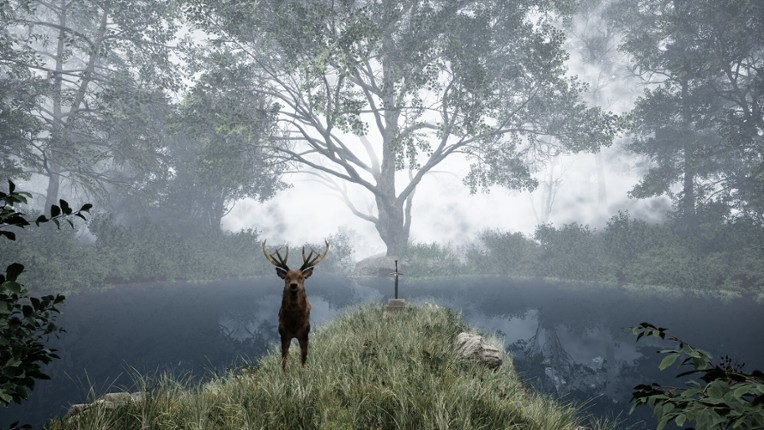 TheLostWoods / 迷いの森 screenshot