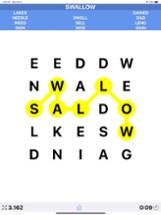 Word Hunt Game Image