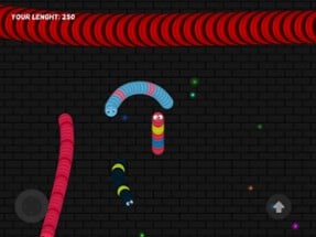 Agar Snake worm -  Rolling Battle class game Image