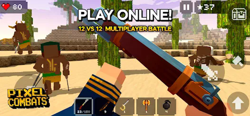 Pixel Combats: Blocky Craft 3D screenshot