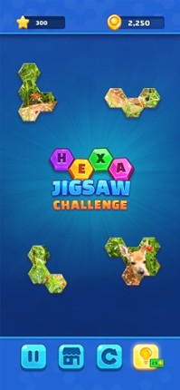 Hexa Jigsaw Challenge Image