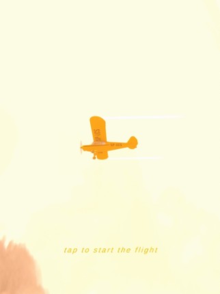 Real Flight screenshot