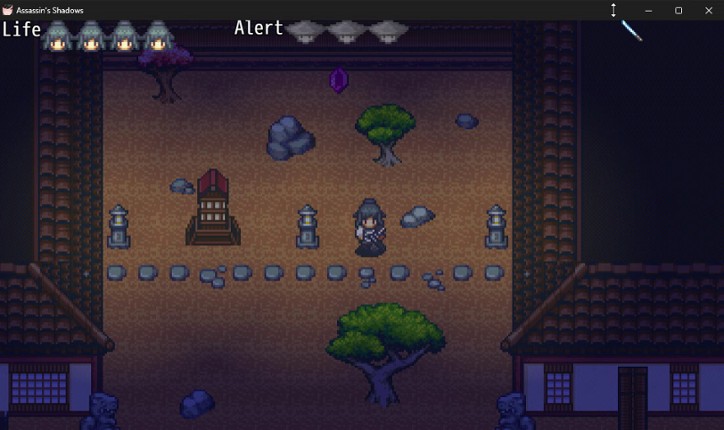 Assassin's Shadows Image