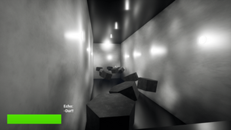 Echo screenshot