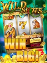 AE Slot Machine Image