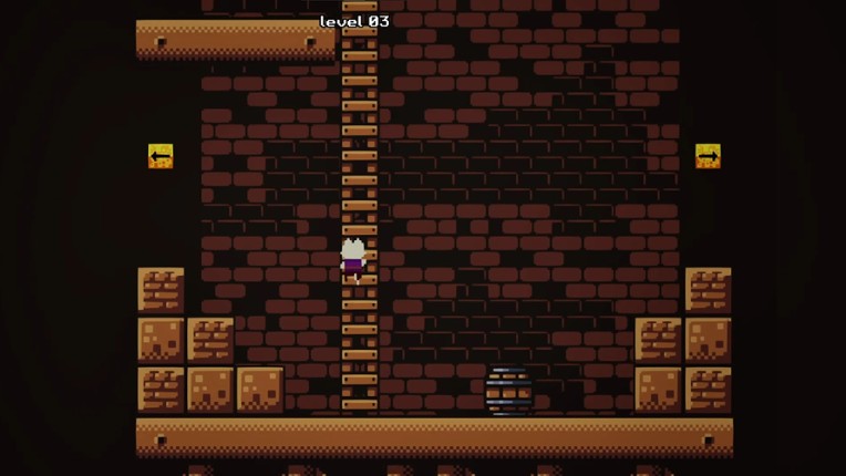 Bundle - FlipCat Image