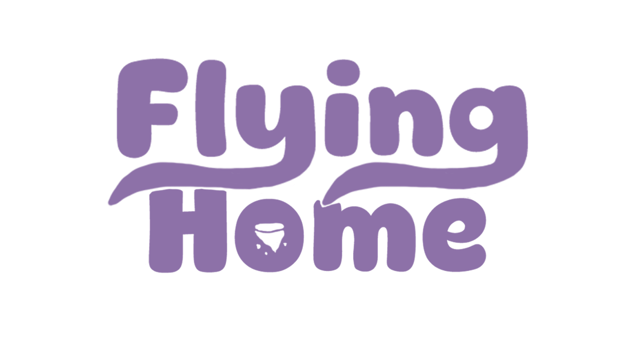 Games like Flying Home