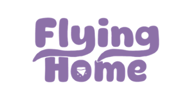 Flying Home Image