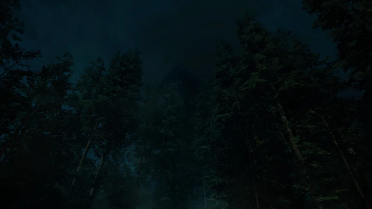 Forest Lookout Image