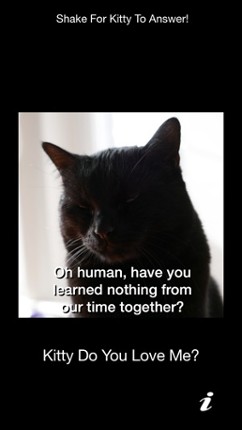 Kitty Do You Love Me? screenshot