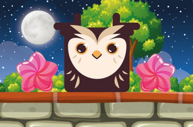 Owl Block Image