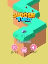 Sudden Turn Racing Zig Zag Image