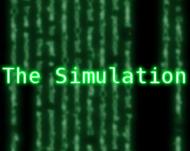 The Simulation Image