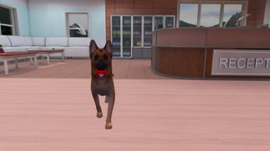 VetVR Veterinary Simulator Image