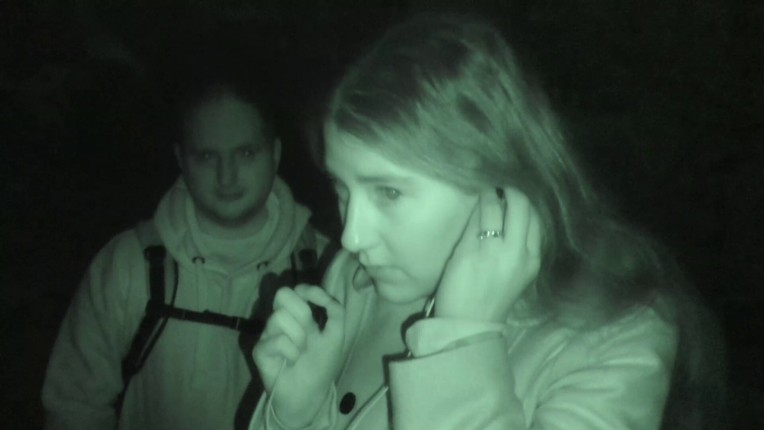 Wychwood Hollow screenshot