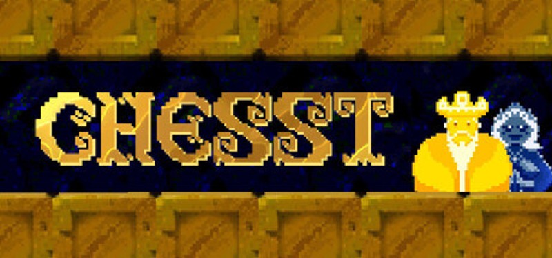 CHESST Image
