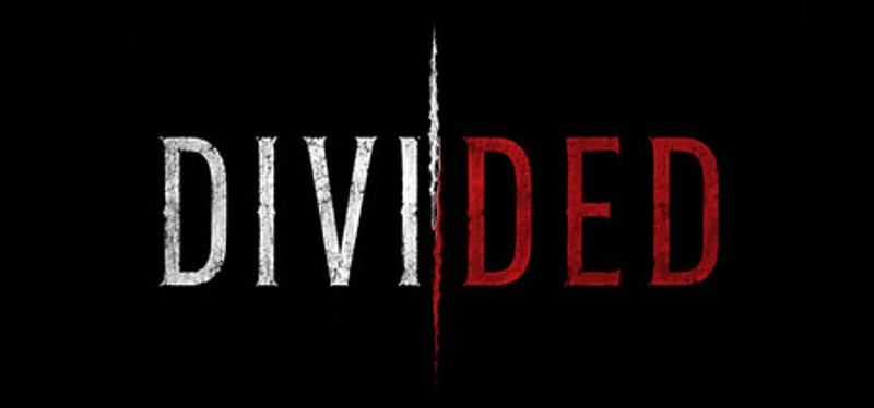 Divided Image