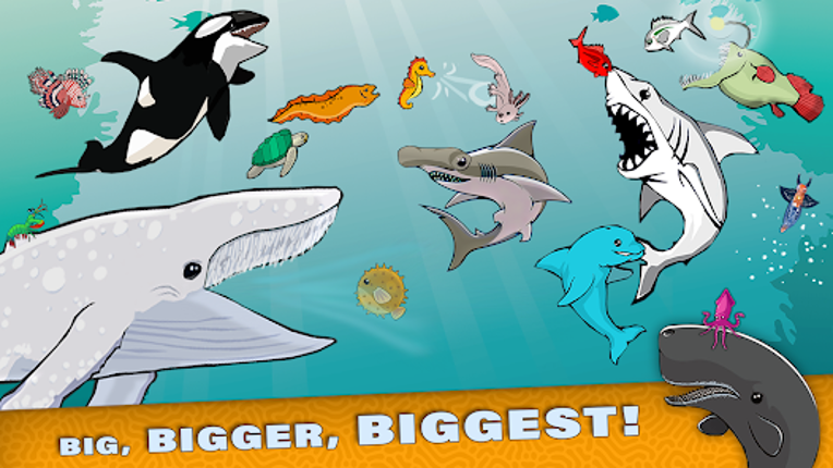 Fish Royale - Shark World Game Image