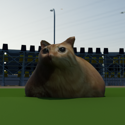 Pablo Cat Race Game Image