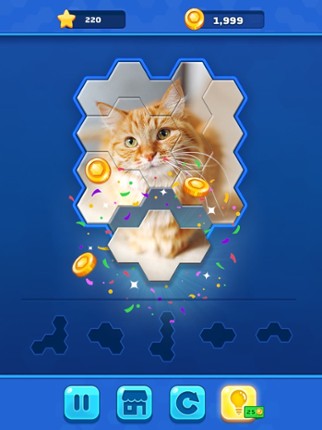 Hexa Jigsaw Challenge screenshot