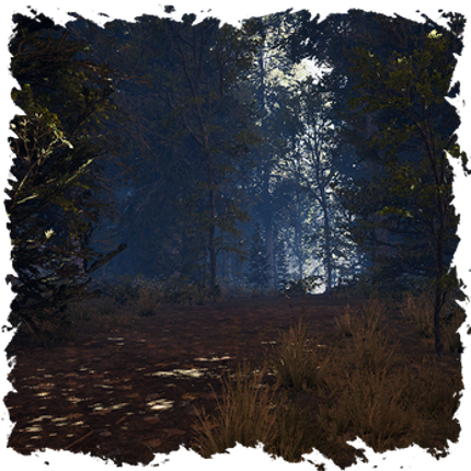 Of The Forest Made Image