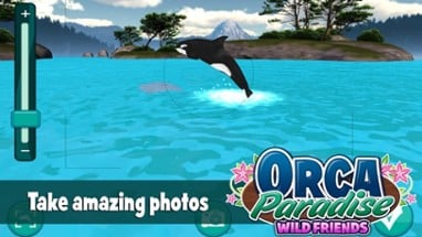 Orca Paradise: Wild Friends Image