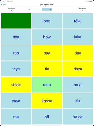 PickAPair Hausa - English screenshot